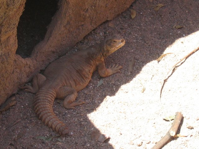 618x457 pixels (195K)